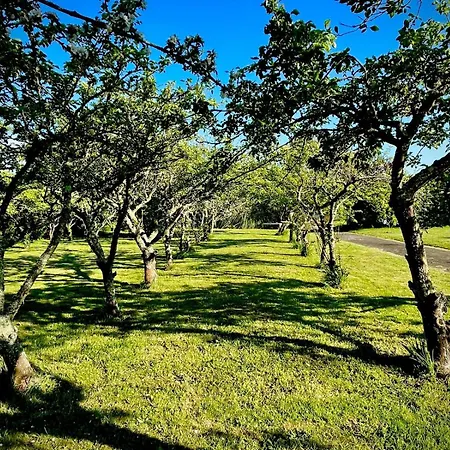 Bed & Breakfast Le Bercail Plouézec